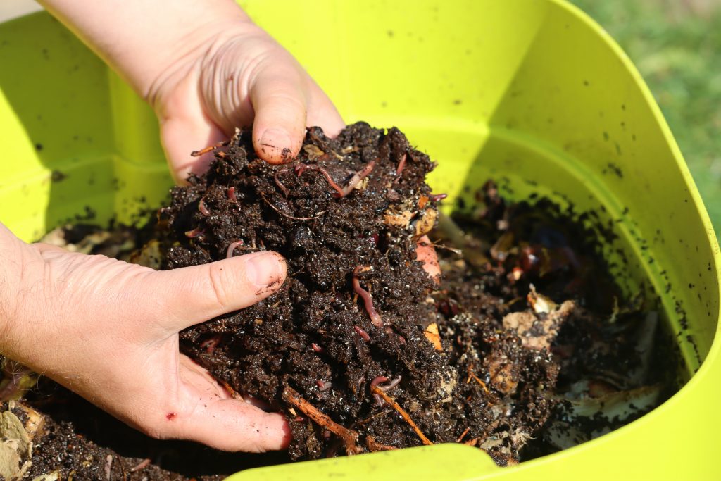 Worm Farms