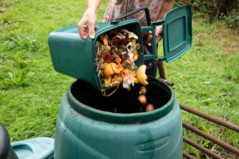Compost Bins