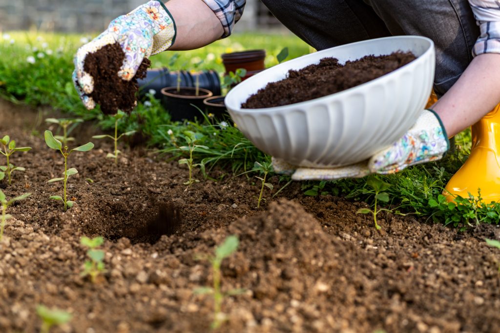 Can I Compost My Dog Poop (Waste)?
