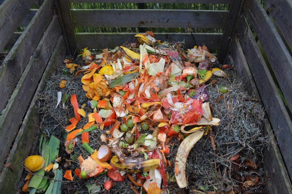 Fruits and Vegetable in compost bin